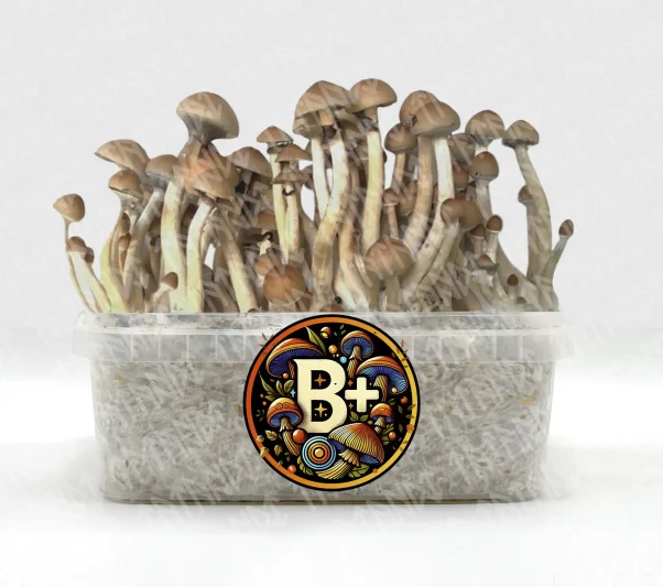 Grow Kits B+